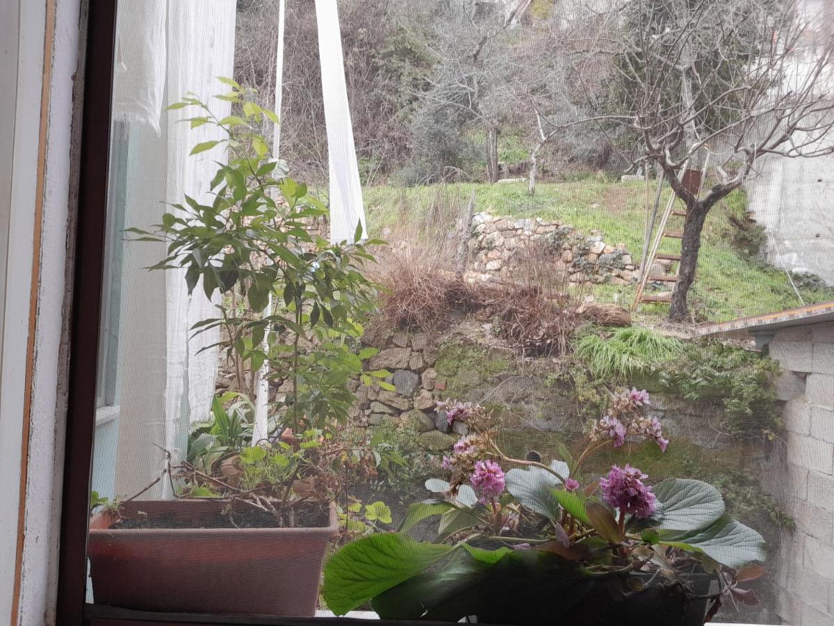 Villa Antichi Sapori Da Speranza Gavoi Habitación foto